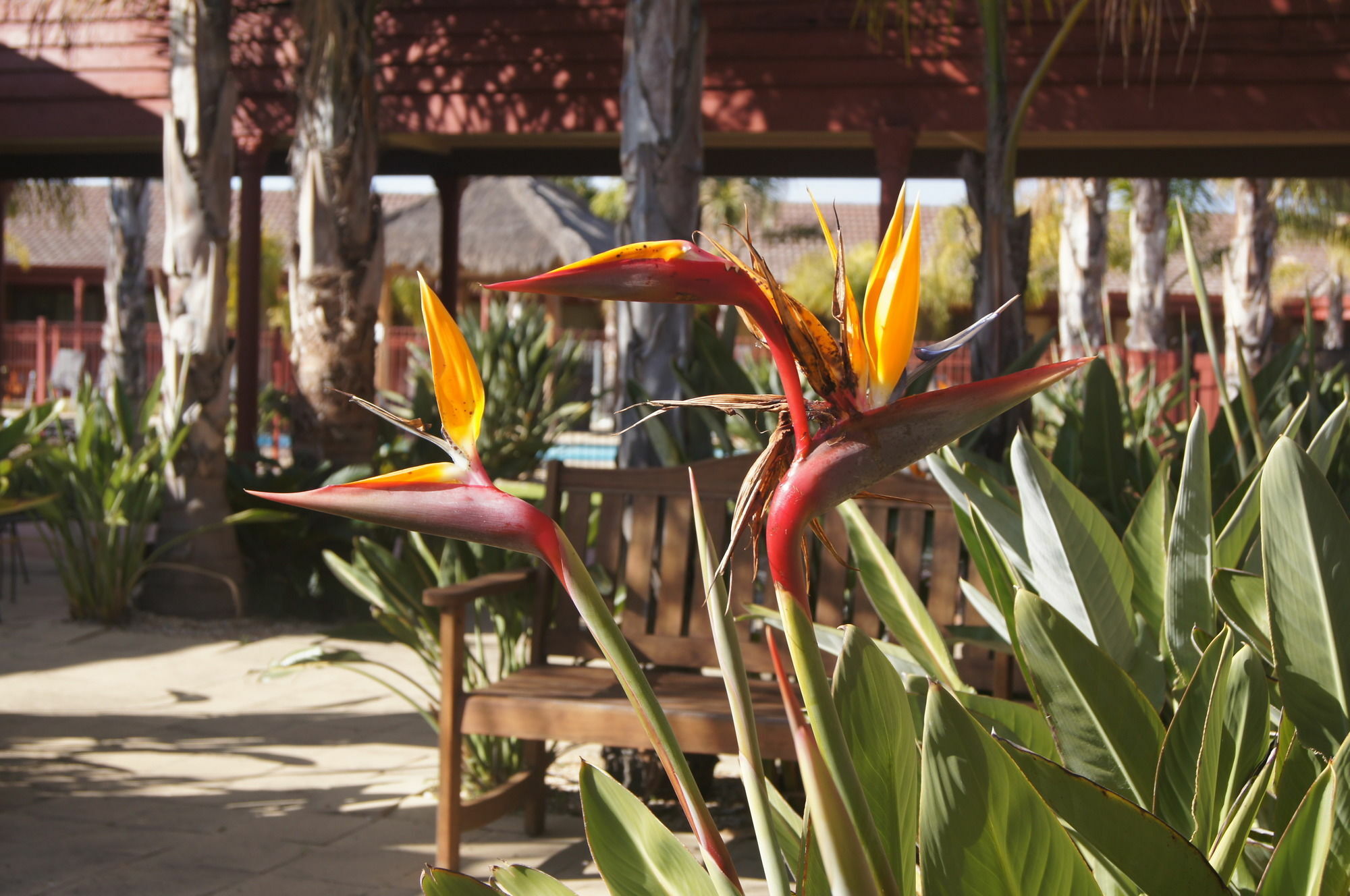 בנדיגו Quality Hotel Lakeside מראה חיצוני תמונה